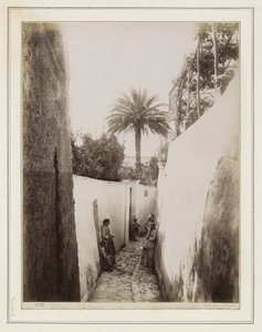 door Giorgio Sommer