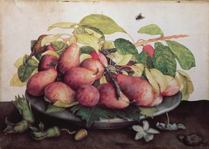Peren met meidoorns