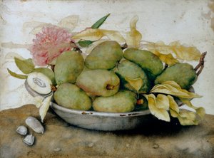 Bord met mispels, amandelen en een roos