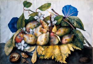 Bord met pruimen, jasmijn en noten. Schilderij op perkament door Giovanna Garzoni (1600-1670) door Giovanna Garzoni