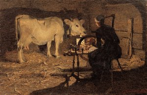 Spinnen