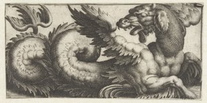 Gevleugelde zeehond die achterom kijkt door Giovanni Andrea Maglioli