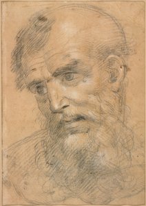 Kop van een man met baard (recto); Studie voor een sacra conversazione (verso)