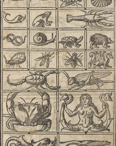 Essempio di recammi, pagina 11 recto