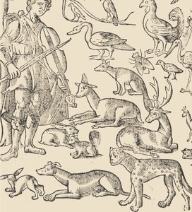 Essempio di recammi, pagina 12 verso door Giovanni Antonio Tagliente