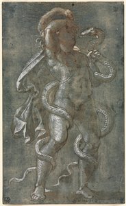 Man verstrengeld door twee slangen, ca. 1527 door Giovanni Antonio da Pordenone