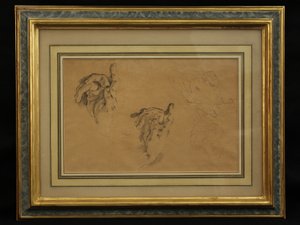 Studie van Handen