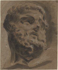 Baardkop na de Oudheid door Giovanni Battista Cipriani