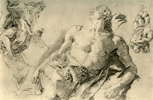 Detailstudie voor de hyacint in Bückeburg, ca. 1752 door Giovanni Battista Tiepolo