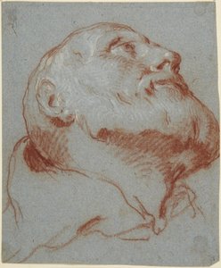 Hoofd van een bebaarde man, van onderen gezien en omhoog kijkend door Giovanni Battista Tiepolo