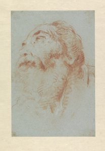 Kop van een oude man door Giovanni Battista Tiepolo