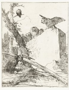 Titelprent voor Scherzi di fantasia met uilen bij een steen door Giovanni Battista Tiepolo