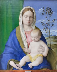 Madonna en Kind, ca. 1500 door Giovanni Bellini