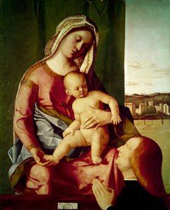 De Madonna en Kind met een schenker