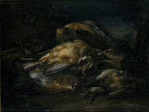 Dode vogel