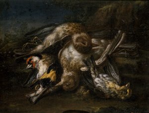 Dode vogels