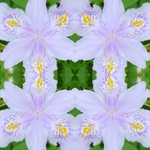 Onnatuurlijk 174