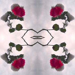 Onnatuurlijk 80