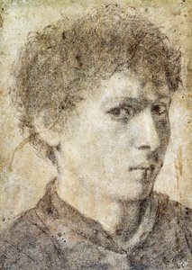 Hoofd van een jonge jongen, tekening door Gian Girolamo Savoldo, zwart potlood en wit krijt, Italië door Giovanni Girolamo Savoldo