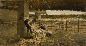 Het schapenscheren, 1883-1884