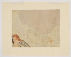 Vogelstudie, verso (krijt op papier)