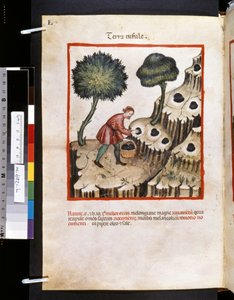 Theatrum sanitatis door Ububchasym de Baldach: 