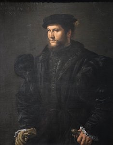 Portret van een heer in het zwart door Girolamo da Carpi