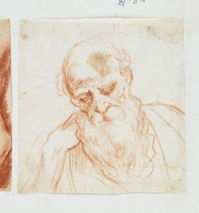Hoofd van een Bebaarde Man die Naar Beneden Kijkt door Giuseppe Cesari