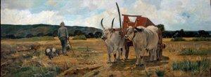 Landschap in Maremma