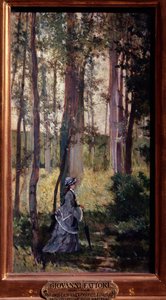 Elegante vrouw wandelend in het bos