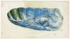 Blauw en groen schelp met drakenkop door Giuseppe Grisoni