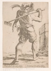 Druivenplukker