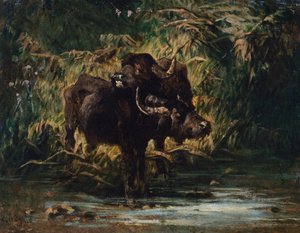 Jonge buffels