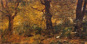 Studie van hout door Giuseppe or Joseph de Nittis