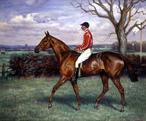 Een Steeplechaser met Jockey