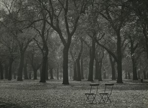 Herfstbomen in Hyde Park, Londen door Godfrey Macdominic