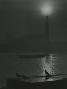 Meeuwensilhouetten bij schemering nabij de rivier de Theems door Godfrey Macdominic