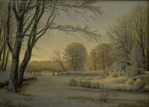 Winterlandschap met een bevroren beek