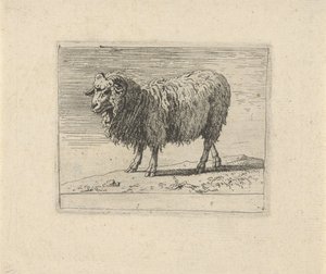 Ram