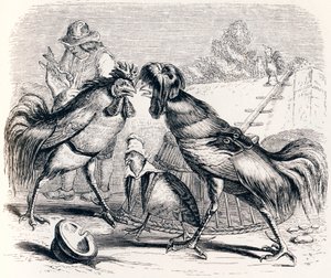 De patrijs en de twee hanen - Fabels van La Fontaine