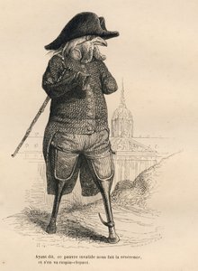 Invalide haan voor het Hôtel des Invalides in Parijs. Geïllustreerde vignetten door JJ Granville. Gravure gesigneerd door Andrew, Best en Leloir in het deel getiteld "De dierenartsen" geschreven door Pierre Bernard in "Scènes uit het privé- en openbare lev door Grandville