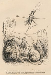 Krekel speelt trompet voor een schildpad, een slak en slakken. Boven hem balanceert een andere krekel op een draad. Vignetten geïllustreerd door JJ Granville. Gravure gesigneerd Godard in het deel getiteld 