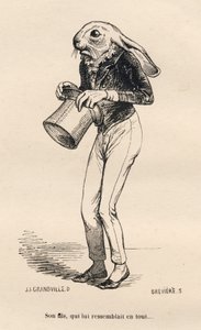 Bange haas in dandy kostuum. Geïllustreerde vignetten door JJ Granville. Gravure gesigneerd Breviere in het deel "Verhaal van een haas" geschreven door PJ Stahl in "Scènes uit het privé- en openbare leven van dieren". Parijs, J. Hetzel en Paulin