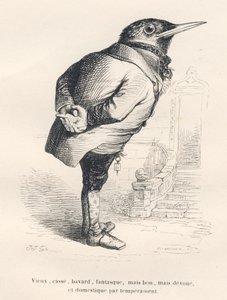 Merel "oud, gebroken, praatgraag, grillig maar goed, toegewijd en huiselijk van aard". Geïllustreerde vignetten door JJ Granville. Gravure gesigneerd Tamisier in het deel "Herinneringen van een oude kraai" geschreven door PJ Stahl in "Scènes uit het privé-