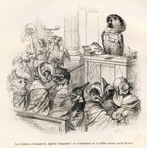 Welsprekende papegaai. Vignetten geïllustreerd door JJ Granville. Gravure gesigneerd Porret in het deel getiteld "Gids-ezel voor dieren die eer willen bereiken" geschreven door Honoré De Balzac in "Scènes uit het privé- en openbare leven van dieren"