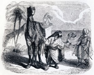 De kameel en de drijvende stokken - Fabels van La Fontaine