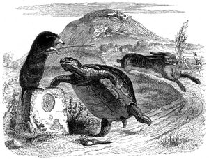 De haas en de schildpad: La Fontaine fabel geïllustreerd door Grandville
