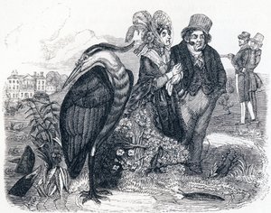 De reiger - Fabels van La Fontaine