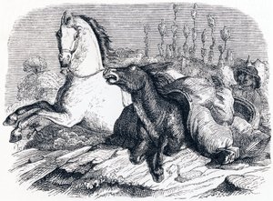 Het paard en de ezel - Fabels van La Fontaine door Grandville