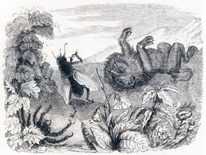 De leeuw en de mist - Fabels van La Fontaine door Grandville